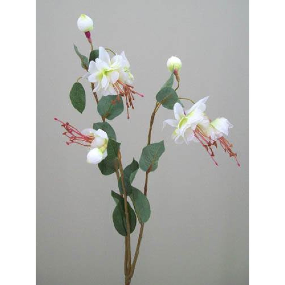 Artificial Flowers Silk Double Fuchsia Stem Ivory 50cm